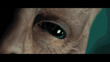 alien battleship eye pupil dilated