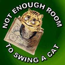 No Room To Swing A Cat Not Enough Room GIF - No Room To Swing A Cat Not Enough Room Confined Space GIFs