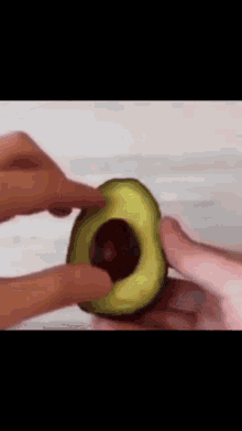 loop avocado