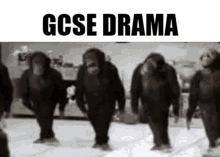 Gcse Drama GIF - Gcse Drama Acting GIFs
