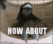 Sloth How About No GIF - Pass Howaboutno Reject GIFs
