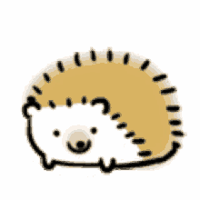 cute hedgehog cartoon awesome sneeze