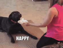 Birthday Funny GIF - Birthday Funny Dog GIFs