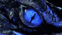 Dragon Blue Eyes GIF - Dragon Blue Eyes Dragon Eye GIFs