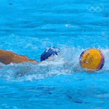 swimming olympics securing the ball water polo water sports
