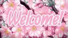 Anime Cherry Blossom GIF - Anime Cherry Blossom Tokkii GIFs