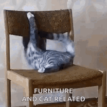 cat furniture playtime chair