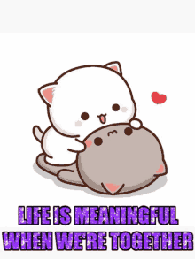 peach goma kitties cat cute love couple mochi life together meaningful