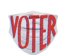 Voter Voting Sticker - Voter Voting Vote Stickers