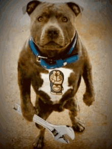 Very Angry Dog Wrench GIF - Very Angry Dog Dog Wrench GIFs