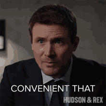 Convenient That It Was Secret Charlie Hudson GIF - Convenient That It Was Secret Charlie Hudson Hudson And Rex GIFs