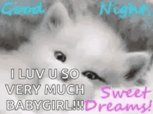 Sweet Dreams I Love You So Much Baby Girl GIF - Sweet Dreams I Love You So Much Baby Girl Kitten GIFs