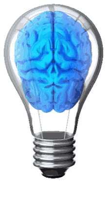 brain electricity cerebral cortex light bulb