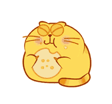 cracker cookie eating fatkittykat eggyolkcat