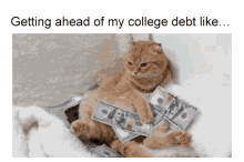 Getting Ahead Of My College Debt Like Cat GIF - Getting Ahead Of My College Debt Like Debt Cat GIFs