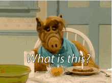 Alf What Is This GIF - Alf What Is This Whats This GIFs
