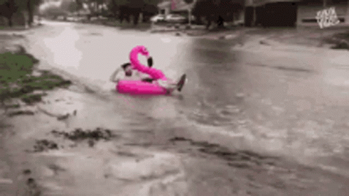 Floaties Rainy Day GIF - Floaties Rainy Day Flamingo GIFs