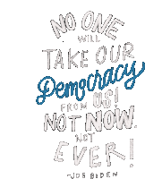 No One Will Take Our Democracy From Us Not Now Sticker - No One Will Take Our Democracy From Us Not Now Not Ever Stickers