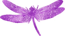 dragonfly purple glitter