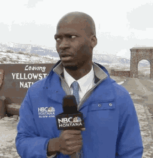Im Out Yellowstone National Park GIF - Im Out Yellowstone National Park Bison Reporter GIFs