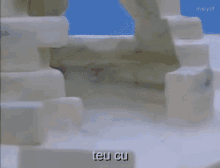 teu cu pingu cute adorable scare