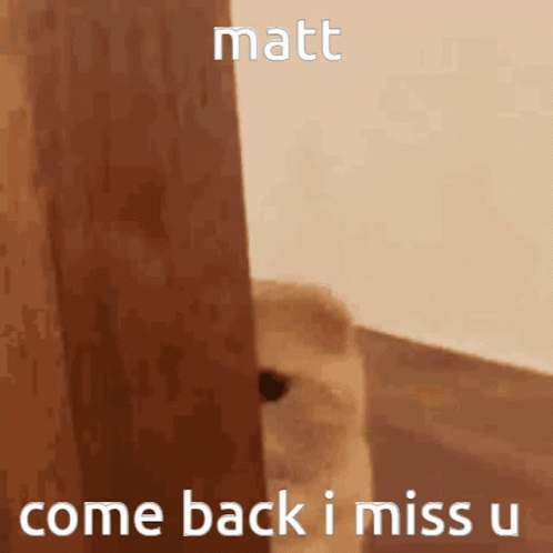 Matt Come Back GIF - Matt Come Back GIFs