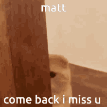 Matt Come Back GIF - Matt Come Back GIFs