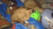Baby Pup Takes A Nap GIF - Puppy Dog Cute GIFs