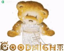 goodnight gifkaro sparkling teddy bear glitter