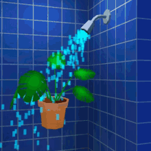 Plant Houseplant GIF - Plant Houseplant Shower GIFs
