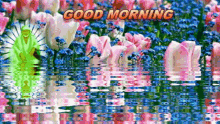 reflection morning