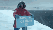 melissa mccarthy superbowl ad save the ice caps