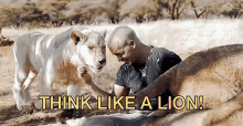 Think Like A Lion Act Like A Lion GIF - Think Like A Lion Act Like A Lion Dean Schneider GIFs