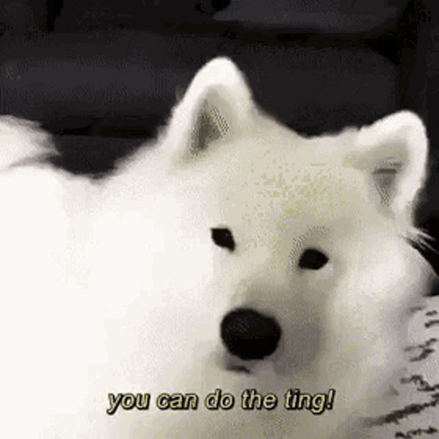 If Sometimes You Sad You Can Do The Thing Gif If Sometimes You Sad You Can Do The Thing Give Treats Discover Share Gifs