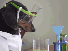 Oakley Sciencedog GIF - Oakley Sciencedog Oakleyscience GIFs