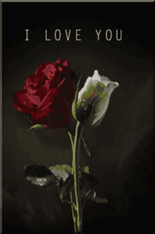 I Love You Red And White Roses GIF - I Love You Red And White Roses Roses GIFs