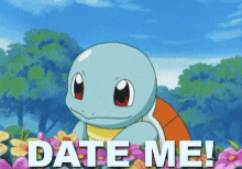 Date Me GIF - Dateme Squirtle Pokemon GIFs