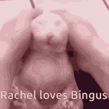 Rachel Bingus Princessbinch GIF - Rachel Bingus Princessbinch Bibingus GIFs