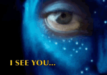 I See You... GIF - Iseeyou Graycdav Avatar GIFs