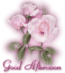Good Afternoon Goo Day GIF - Good Afternoon Goo Day Flowers GIFs