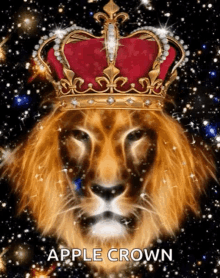 Leo King GIF - Leo King Lion GIFs