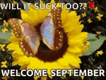 Welcome September GIF - Welcome September GIFs