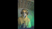 nokez alfa