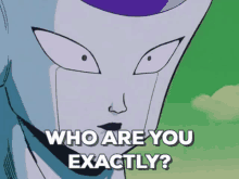 Who Are You Exactly GIF - Who Are You Exactly Dragon Ball Z GIFs