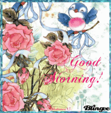 Good Morning Bird GIF - Good Morning Bird Smile GIFs