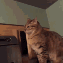 Sneaky Mad GIF - Sneaky Mad Serious GIFs