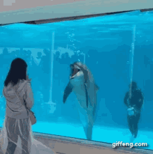 海豚 哈哈哈 大笑 嘲笑 GIF - Dolphin Laughing Hahaha GIFs