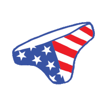 American Underwear Jackass Sticker - American Underwear Jackass Patriotic Underwear Stickers