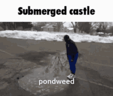 Pondweed Submerged GIF - Pondweed Submerged Submersible GIFs