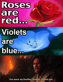 Roses Are Red Violets Are Blue GIF - Roses Are Red Violets Are Blue Blue Flower GIFs